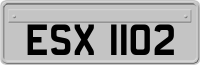 ESX1102