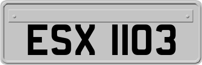 ESX1103