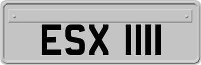 ESX1111