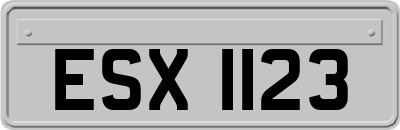ESX1123