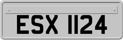 ESX1124