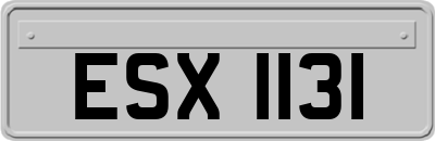 ESX1131