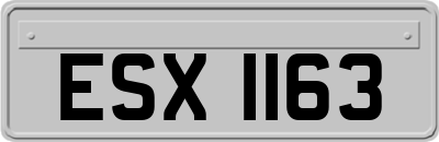 ESX1163