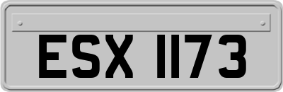 ESX1173