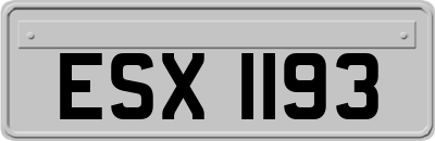 ESX1193