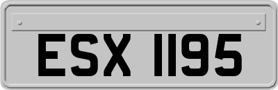 ESX1195