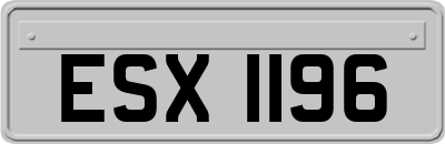 ESX1196