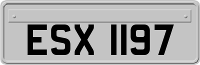 ESX1197