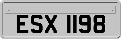 ESX1198