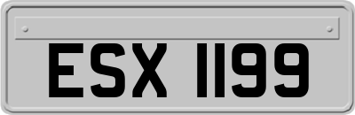 ESX1199