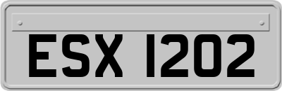 ESX1202
