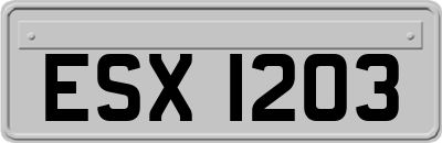 ESX1203