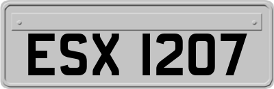 ESX1207