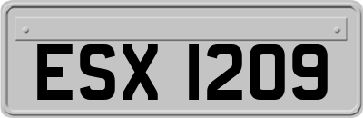 ESX1209