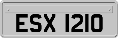 ESX1210