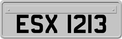 ESX1213
