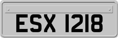 ESX1218