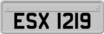 ESX1219