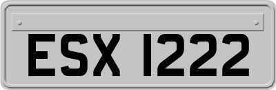 ESX1222