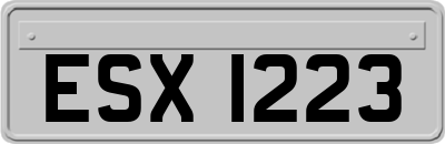 ESX1223