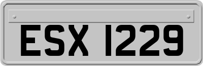 ESX1229
