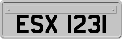 ESX1231