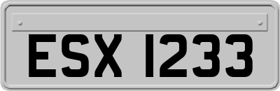 ESX1233