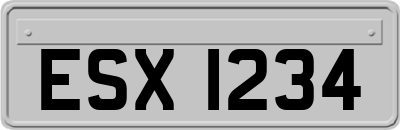 ESX1234
