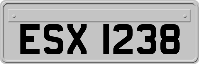 ESX1238