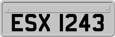 ESX1243