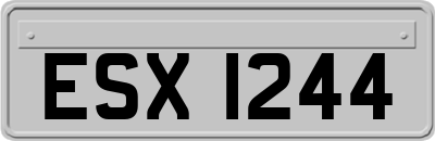 ESX1244