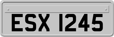 ESX1245