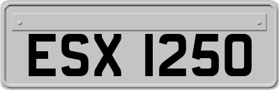 ESX1250