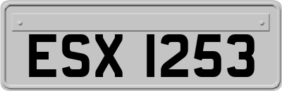 ESX1253
