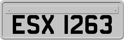 ESX1263
