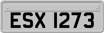 ESX1273