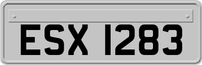 ESX1283