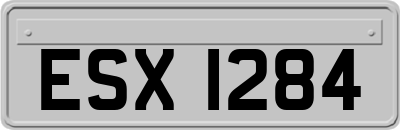 ESX1284