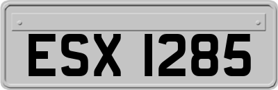 ESX1285