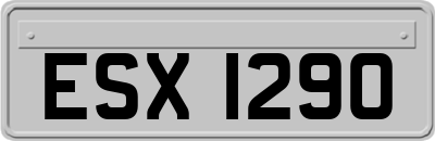 ESX1290