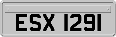 ESX1291