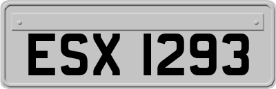 ESX1293