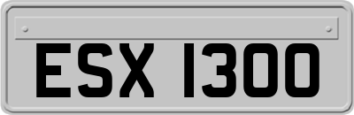 ESX1300