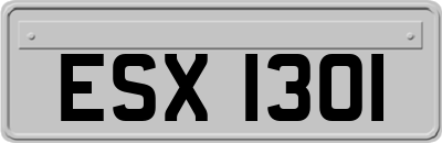 ESX1301
