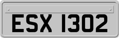 ESX1302