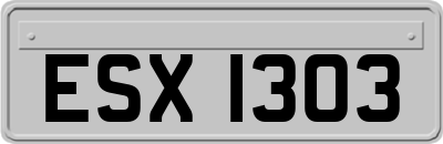 ESX1303
