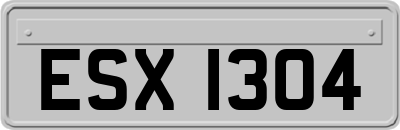 ESX1304