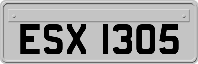 ESX1305