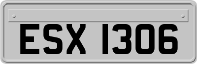 ESX1306
