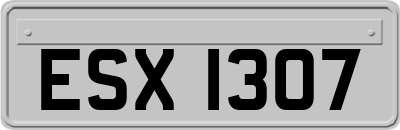 ESX1307